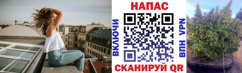Купить  Щёлкино  Канабис White Widow 